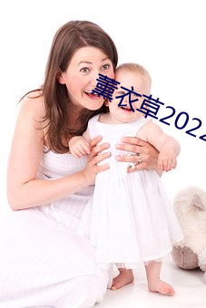 薰衣草2022免费入口